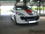 Peugeot  207 LeMans