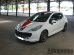 Peugeot  207 LeMans